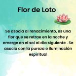 Pulsera Roja_Flor_de Loto